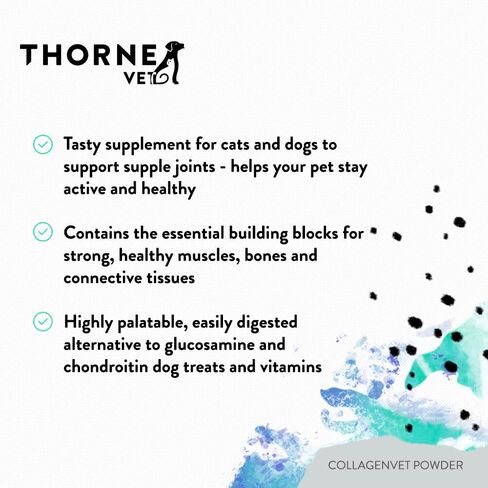مسحوق الكولاجين ThorneVet CollagenVET للحيوانات الأليفة - مكمل دعم المفاصل الببتيد الكولاجين البقري لصحة المفاصل والعضلات والعظام والأوتار والجلد - متوفر بيولوجيًا للغاية وقابل للهضم - 75 ملعقة in Kuwait