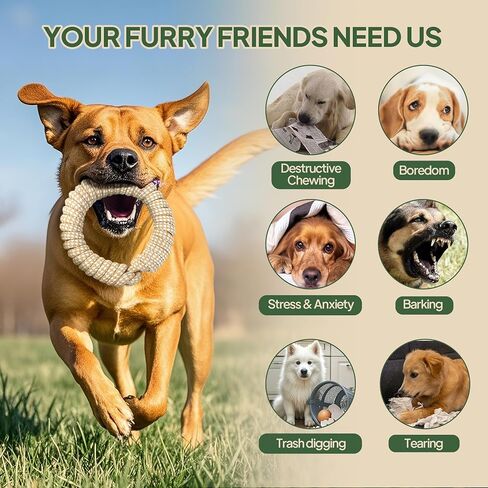 Dog Rope Toy 4 Pack - Puppy Teething Toys for Small Medium Breed - Indestructible Dog Chew Toys for Aggressive Chewers - Cotton Tug of War Dog Toy for Boredom, Teeth Clean in Kuwait