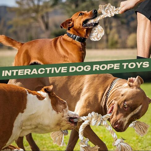 Dog Rope Toy 4 Pack - Puppy Teething Toys for Small Medium Breed - Indestructible Dog Chew Toys for Aggressive Chewers - Cotton Tug of War Dog Toy for Boredom, Teeth Clean in Kuwait