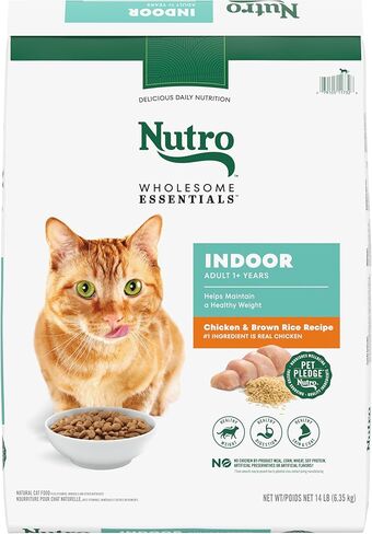 Nutro Indoor Adult - الدجاج والأرز البني الكامل - 3 رطل in Kuwait
