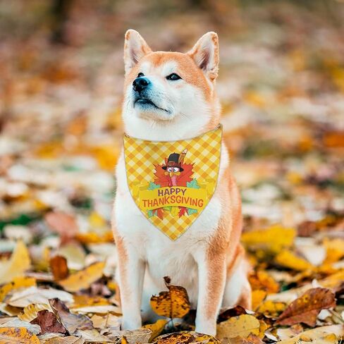 Halloween Dog Bandanas 2 Packs, Bats, Cats Witches Hats, Pumkin Reversible Triangle, Fall Pet Scarves for Puppy, Plaid PurpleDog Kerchief (X-Large, halloween-01) in Kuwait