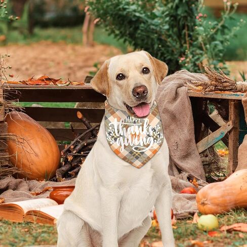 Halloween Dog Bandanas 2 Packs, Bats, Cats Witches Hats, Pumkin Reversible Triangle, Fall Pet Scarves for Puppy, Plaid PurpleDog Kerchief (X-Large, halloween-01) in Kuwait