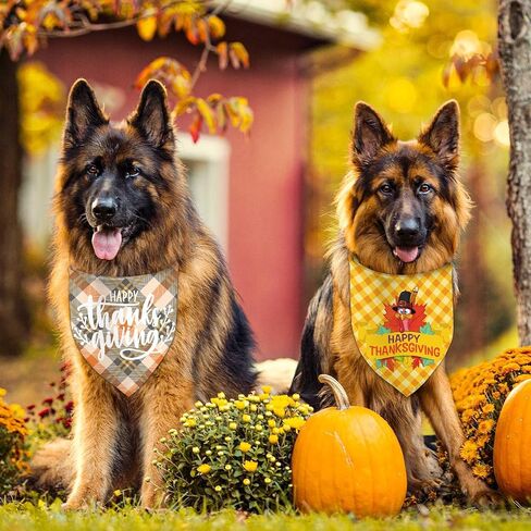 Halloween Dog Bandanas 2 Packs, Bats, Cats Witches Hats, Pumkin Reversible Triangle, Fall Pet Scarves for Puppy, Plaid PurpleDog Kerchief (X-Large, halloween-01) in Kuwait