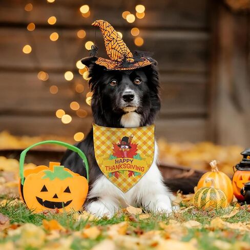 Halloween Dog Bandanas 2 Packs, Bats, Cats Witches Hats, Pumkin Reversible Triangle, Fall Pet Scarves for Puppy, Plaid PurpleDog Kerchief (X-Large, halloween-01) in Kuwait