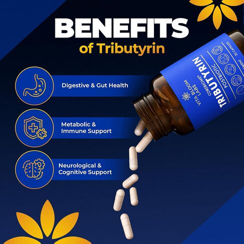 ملحق CoreBiome Tributyrin - تسليم أفضل وأكثر فعالية من زبدات الصوديوم - صحة الأمعاء ودعم الجهاز الهضمي - 3 -في 1 ما بعد البيتيريات لدعم حاجز الأمعاء المتسربين - 30 كبسولة in Saudi Arabia