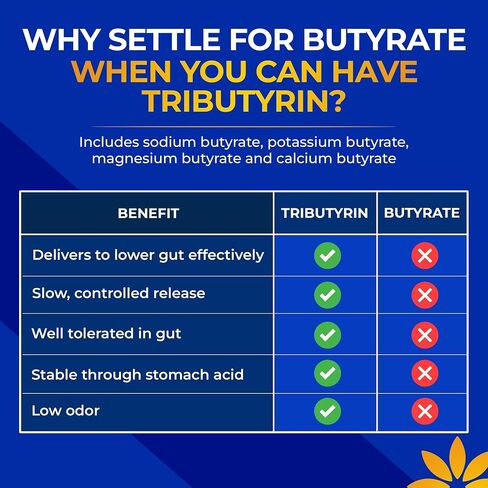 ملحق CoreBiome Tributyrin - تسليم أفضل وأكثر فعالية من زبدات الصوديوم - صحة الأمعاء ودعم الجهاز الهضمي - 3 -في 1 ما بعد البيتيريات لدعم حاجز الأمعاء المتسربين - 30 كبسولة in Saudi Arabia