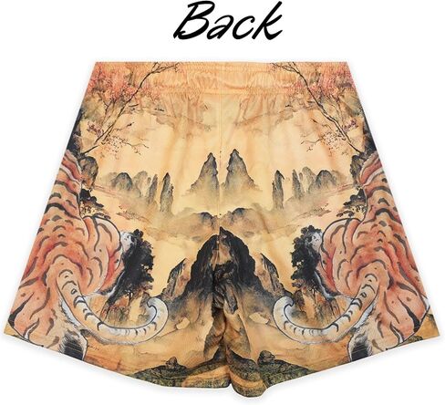Men's Retro Basketball Shorts Graphic Gym Shorts Athletic Streetwear Quick-Dry Mesh Lightweight with Drawstring in Kuwait