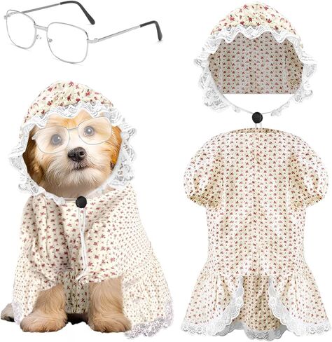 زي الهالوين للكلاب مكون من 3 قطع، زي السيدة العجوز لكلاب الذئب الكبير السيئ والجدة، يتضمن فستان الكلب وقبعة ونظارات لحفلات الهالوين التنكرية للكلاب (5 XL) in Kuwait