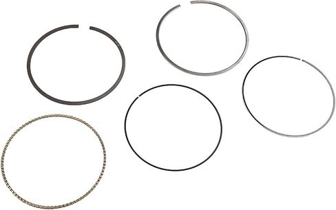 GM Genuine Parts 12616973 Engine Piston Ring Kit in Saudi Arabia