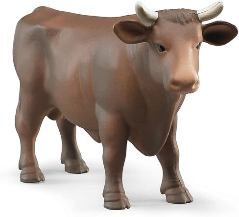 Bruder Cow in Kuwait