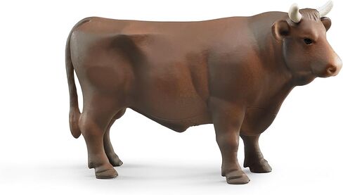 Bruder Cow in Kuwait