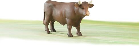 Bruder Cow in Kuwait