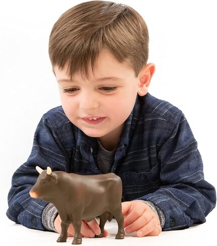 Bruder Cow in Kuwait