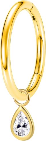 316L 16G Clicker Rook Earrings Gold Plated Rook Piercing Jewelry Stainless Steel Dangling Helix Eyebrow Piercing Rings in Saudi Arabia