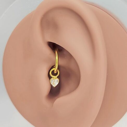 316L 16G Clicker Rook Earrings Gold Plated Rook Piercing Jewelry Stainless Steel Dangling Helix Eyebrow Piercing Rings in Saudi Arabia
