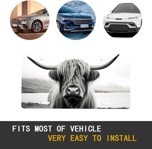 أبيض وأبيض اسكتلندا المرتفعات البقر اللوحة الفنية اللوحة اللوحة ، لوحة ترخيص للسيارة المعدنية المزخرفة مع 4 ثقوب ، 6 × 12 بوصة in Kuwait