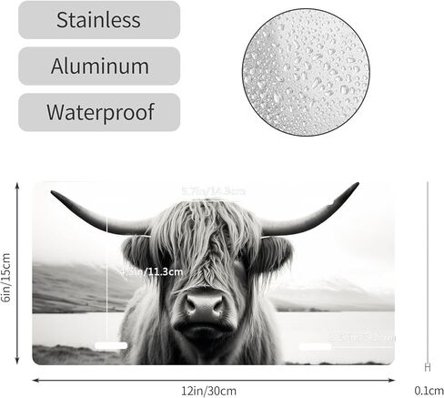 أبيض وأبيض اسكتلندا المرتفعات البقر اللوحة الفنية اللوحة اللوحة ، لوحة ترخيص للسيارة المعدنية المزخرفة مع 4 ثقوب ، 6 × 12 بوصة in Kuwait