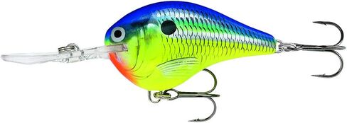 Rapala in Saudi Arabia