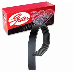 Gates Micro-V Serpentine Belt compatible with Ford Crown Victoria 4.6L V8 2000-2002 in Kuwait