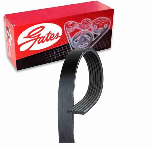 Gates Micro-V Serpentine Belt متوافق مع Ford Crown Victoria 4.6L V8 2000-2002 in Saudi Arabia