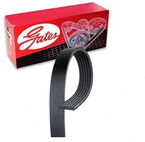 Gates Micro-V Serpentine Belt متوافق مع Dodge RAM 1500 3.7L 4.7L V6 V8 2008-2010 in Saudi Arabia