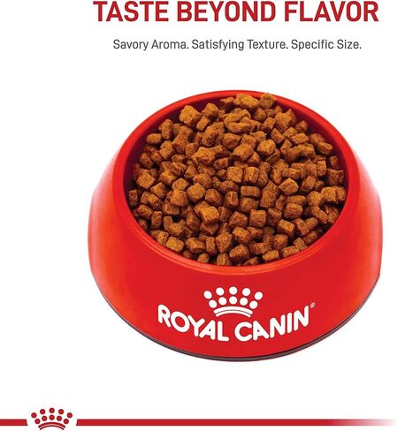 Royal Canin Yorkshire Terrier Adult Dry Dog Food, 10 lb bag in Kuwait