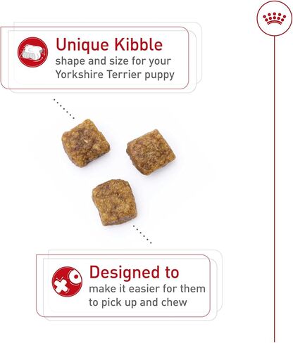Royal Canin Yorkshire Terrier Adult Dry Dog Food, 10 lb bag in Kuwait