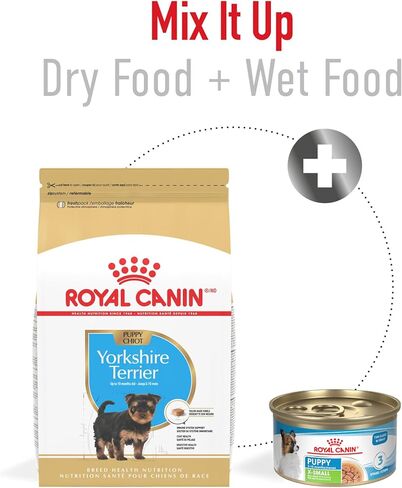 Royal Canin Yorkshire Terrier Adult Dry Dog Food, 10 lb bag in Kuwait
