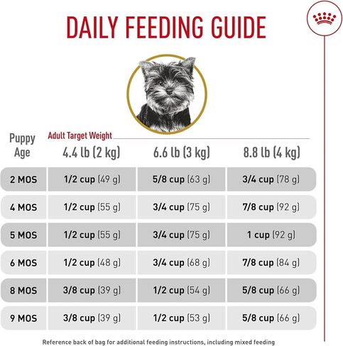 Royal Canin Yorkshire Terrier Adult Dry Dog Food, 10 lb bag in Kuwait