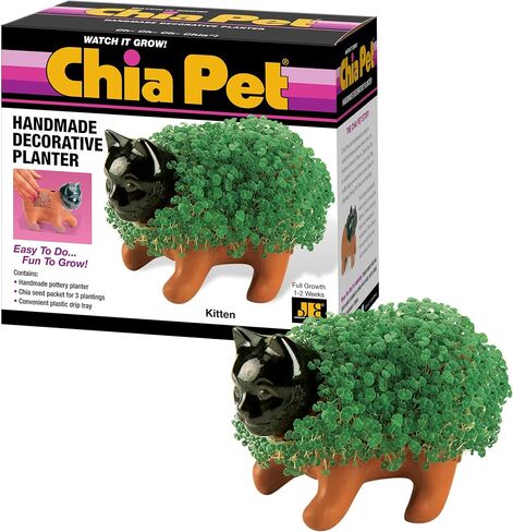 Chia Pet T -rex - Tyrannosaurus مع حزمة البذور ، زارع الفخار الزخرفي ، من السهل القيام به والمرح للنمو ، هدية جديدة ، مثالية لأي مناسبة in Kuwait