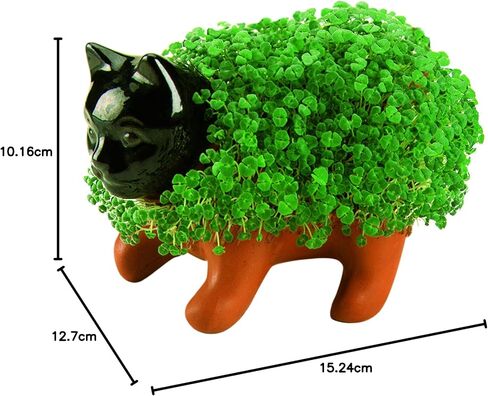 Chia Pet T -rex - Tyrannosaurus مع حزمة البذور ، زارع الفخار الزخرفي ، من السهل القيام به والمرح للنمو ، هدية جديدة ، مثالية لأي مناسبة in Kuwait