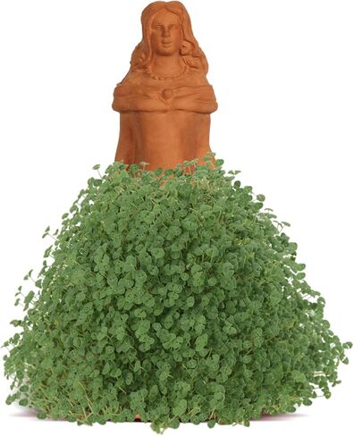 Chia Pet T -rex - Tyrannosaurus مع حزمة البذور ، زارع الفخار الزخرفي ، من السهل القيام به والمرح للنمو ، هدية جديدة ، مثالية لأي مناسبة in Kuwait