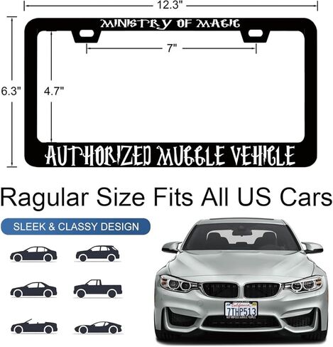 License Plate Frames Daddy's Money But I'm Daddy Metal License Plate Frame with Screws Funny License Plate Cover Holder 6.3 X 12.3 inch for Car Decoration for Women Men LICEPLAME in Saudi Arabia