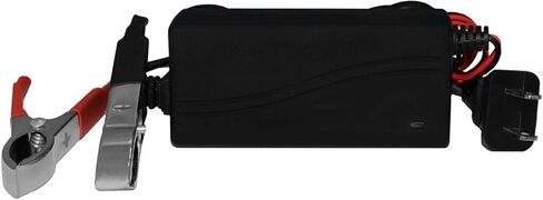 Mighty Max Max Battery YTZ7S GEL BESTACE BATECTION لـ KAWASAKI ZX10R 04-12 + 12V 1AMP ACRGER in Kuwait