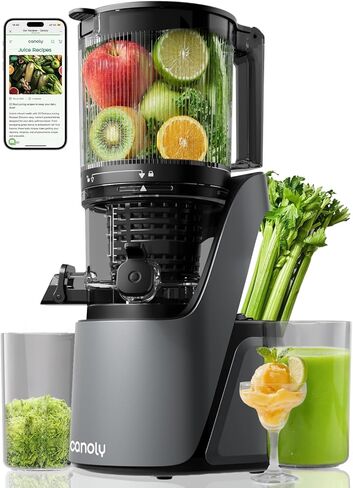 Cold Press Juicer, Masticating Juicer with Quiet Motor, Supports Whole Fruits and Vegetables, Reverse Function, Easy to Clean with Brush in Kuwait