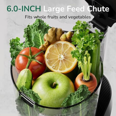 Cold Press Juicer, Masticating Juicer with Quiet Motor, Supports Whole Fruits and Vegetables, Reverse Function, Easy to Clean with Brush in Kuwait