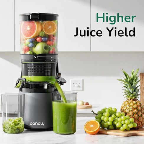 Cold Press Juicer, Masticating Juicer with Quiet Motor, Supports Whole Fruits and Vegetables, Reverse Function, Easy to Clean with Brush in Kuwait