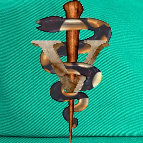 CafePress Veterinary Caduceus Cap Adjustable Baseball Cap in Saudi Arabia