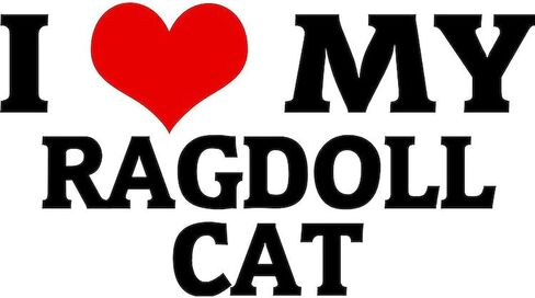 CafePress RAGDOLL CAT Rectangle Car Bumper Magnet in Saudi Arabia