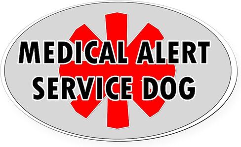 CafePress Service Dog Shop Euro Oval Car Bumper Magnet in Saudi Arabia