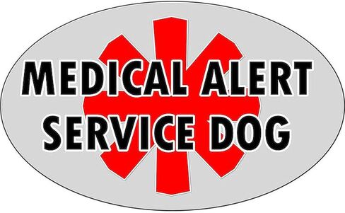 CafePress Service Dog Shop Euro Oval Car Bumper Magnet in Saudi Arabia