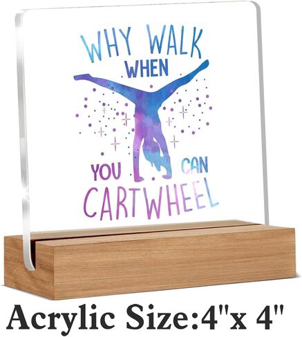 Funny Retro Acrylic Plaque Gifts for Friends Coworkers, Western Gifts for Women Men Besties, I'm From the 1900s Office Desk Signs Decor 4 × 4 Inches in Kuwait