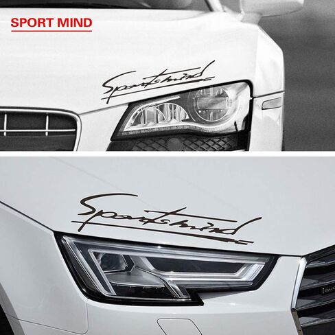 Sport Mind Stickers for Cars Light Eyebrow Sticker Body Exterior Decoration Hood Light Eyebrow Sticker Reflective Garland Car Personality Cover Modification in Saudi Arabia