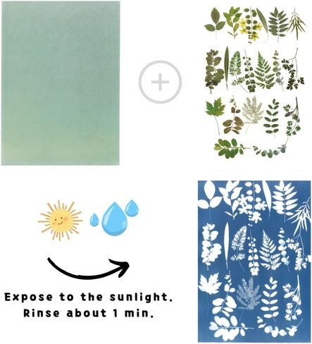 حزمة إعادة تعبئة ورق Cyanotype - 15 ورقة مطلية مسبقًا مقاس 8 × 10 بوصة، برنامج تعليمي للرسوم المتحركة، ظرف من الورق المقوى قابل لإعادة الاستخدام للمدارس والاستوديوهات الفنية in Saudi Arabia