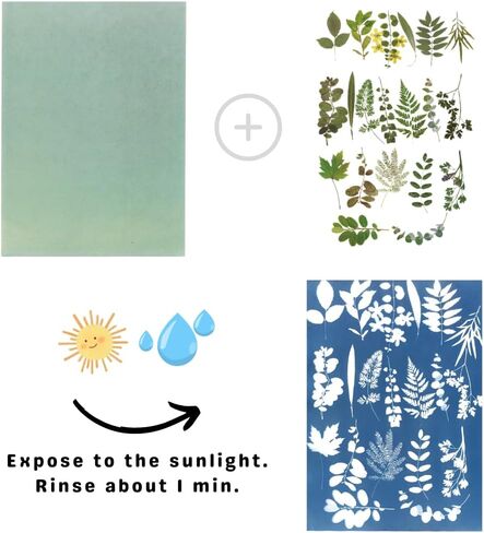 Cyanotype Paper Refill Pack - 15 Pre-Coated 8" X 10" Sheets, Cartoon Tutorial, Reusable Cardboard Envelope for Art Schools & Studios in Saudi Arabia