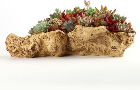 حامل في Driftwood للزينة الداخلية in Saudi Arabia