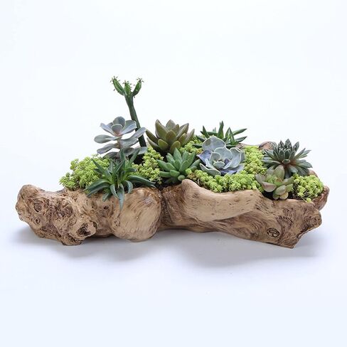 حامل في Driftwood للزينة الداخلية in Saudi Arabia
