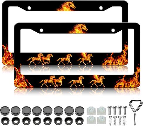 2pcs Dinosaurs Bats Silhouette Plate Plates ، تخصيص حامل لوحة ترخيص الألومنيوم ، إطارات العلامات المزخرفة بالسيارة المقاومة للماء الصدأ للولايات المتحدة القياسية 12 × 6 بوصة in Saudi Arabia