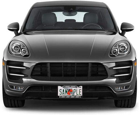 Fastasticdeals Metal Insert License Plate Frame Dachshund Black Weatherproof Car Accessories Chrome 2 Holes Solid Insert in Saudi Arabia