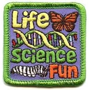 Life Science Fun Iron On Patch Featuring Transformation Caterpillar to Beautiful Butterfly